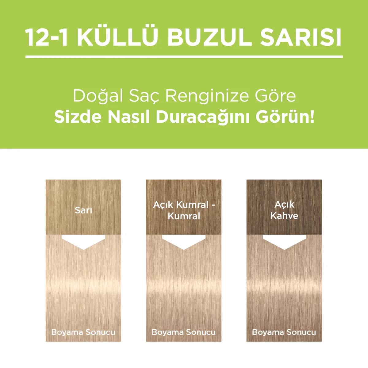 Palette باليت صبغة شعر طبيعية دائمة 12-1 أشقر رمادي جليدي