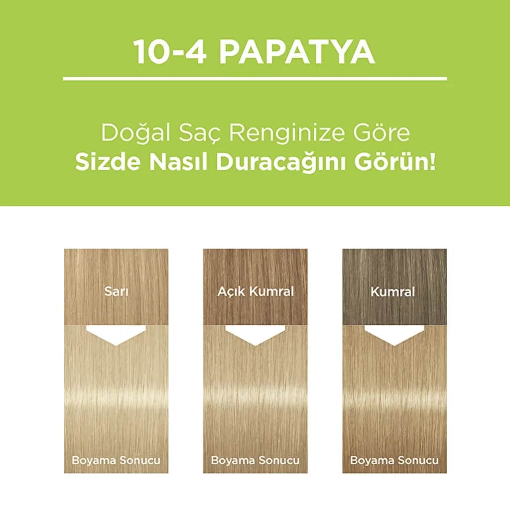 Palette باليت صبغة شعر طبيعية دائمة 10-4 ديزي