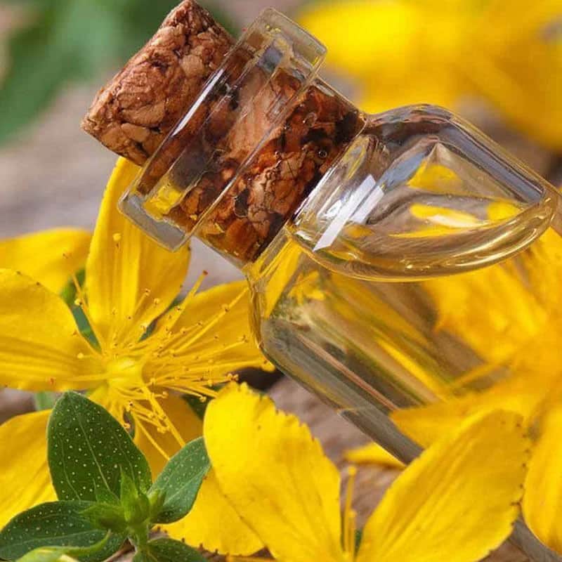Dr. Plante St. John's Wort Oil 50 ml