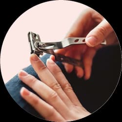 أداة قص الأظافر