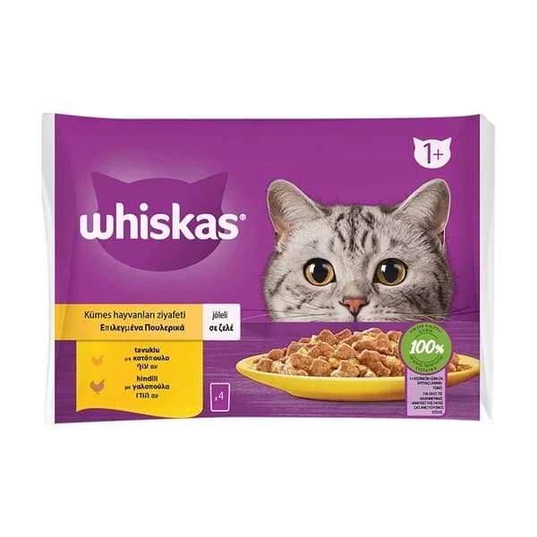 Whiskas طعام ويسكاس بولتري فيست باج الرطب للدواجن 340 غرام