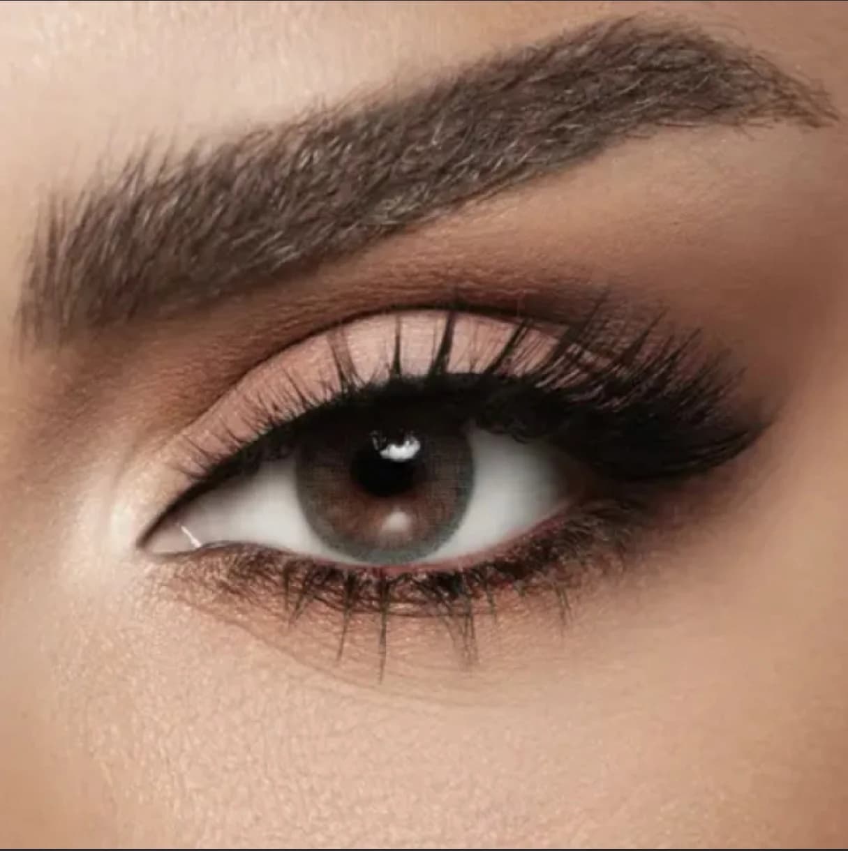 Diva عدسات ديفا ستيل Steel