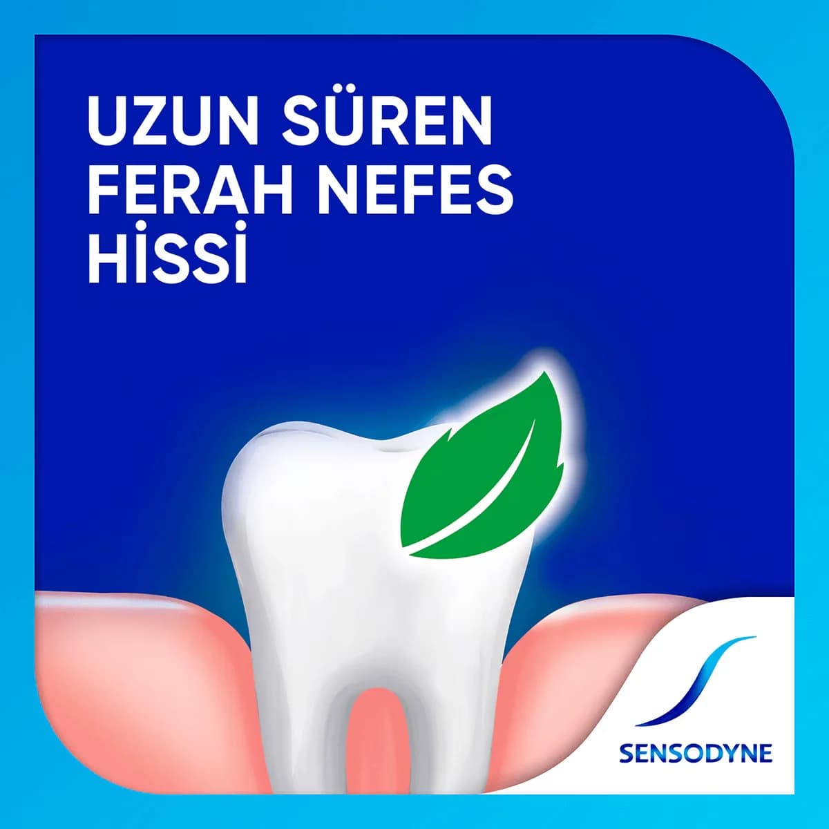 Sensodyne معجون أسنان سنسوداين نفس منعش 100 مل