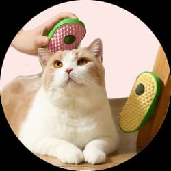 منتجات القطط