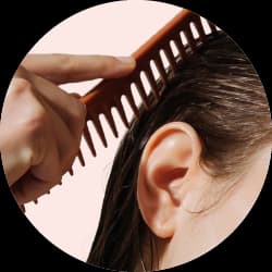 علاج القمل