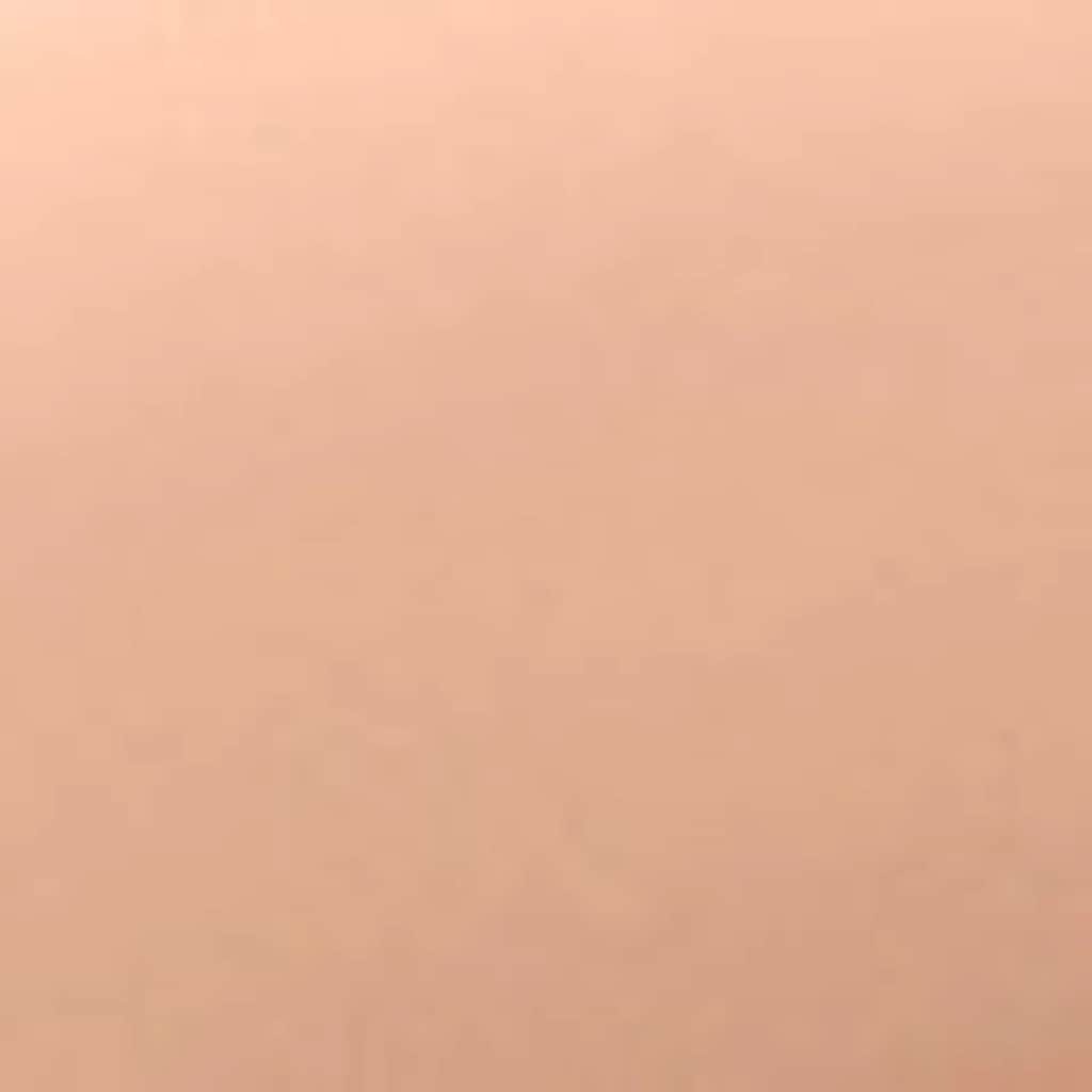 Wet n Wild مرطب ويت أند وايلد بير فوكس الملون ترطيب وتغطية