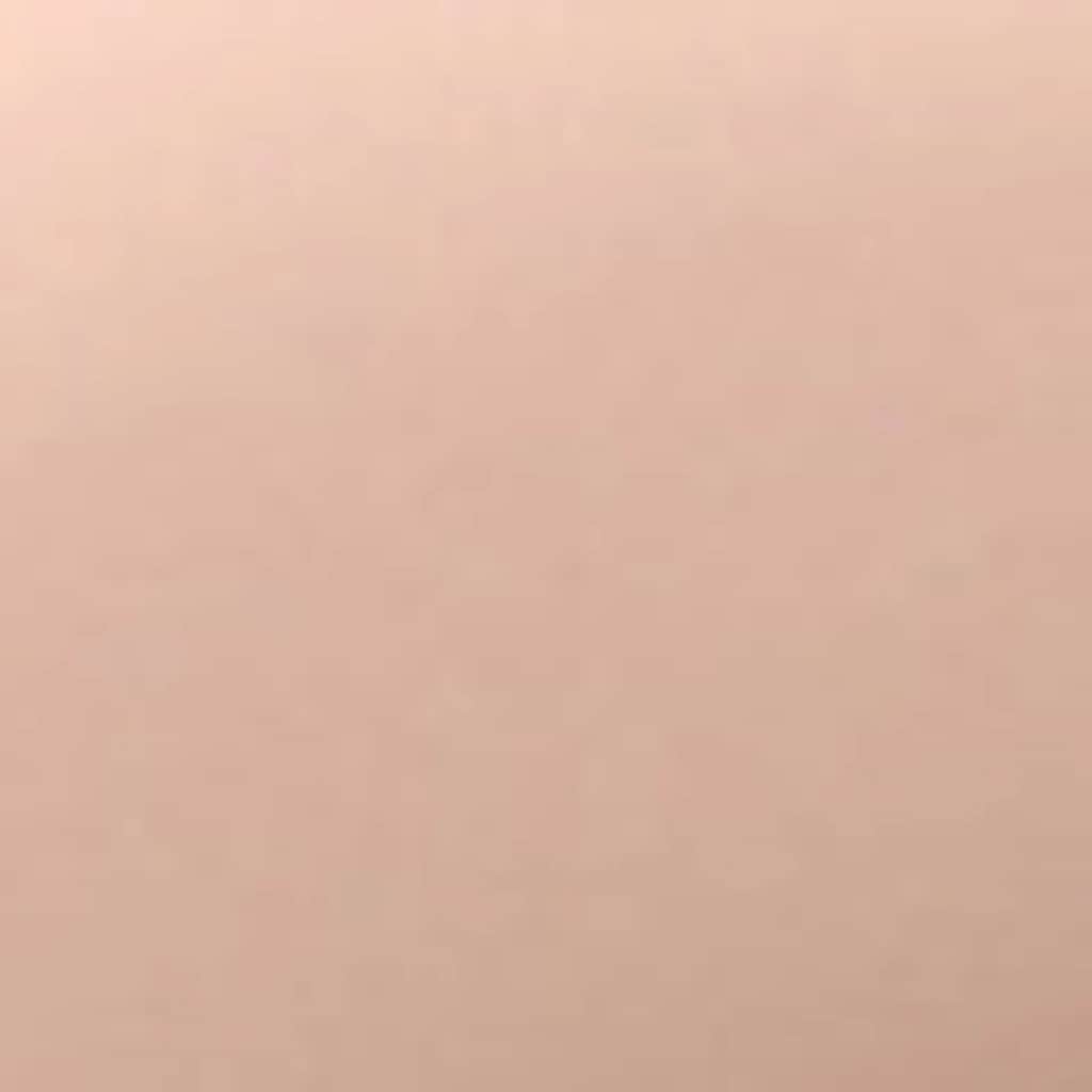 مرطب ملون بار فوكس فاتح من ويت إن وايلد Wet n Wild