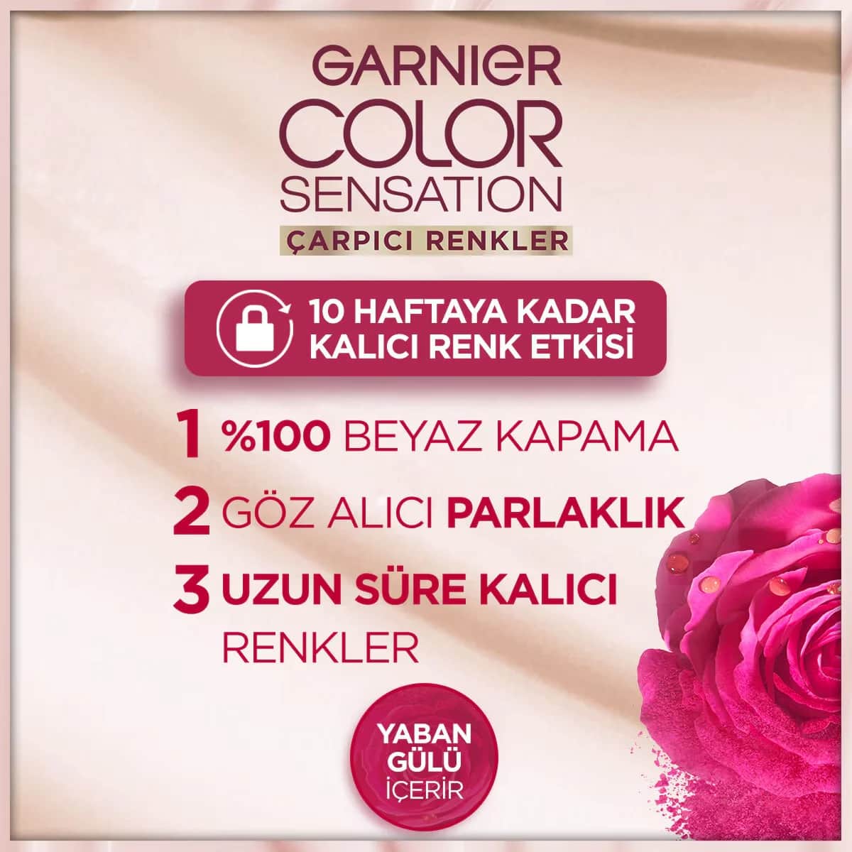 Garnier صبغة شعر غارنييه كولور ناتشرالز بألوان جذابة رقم 4.60 أحمر داكن مكثف، قطعة واحدة