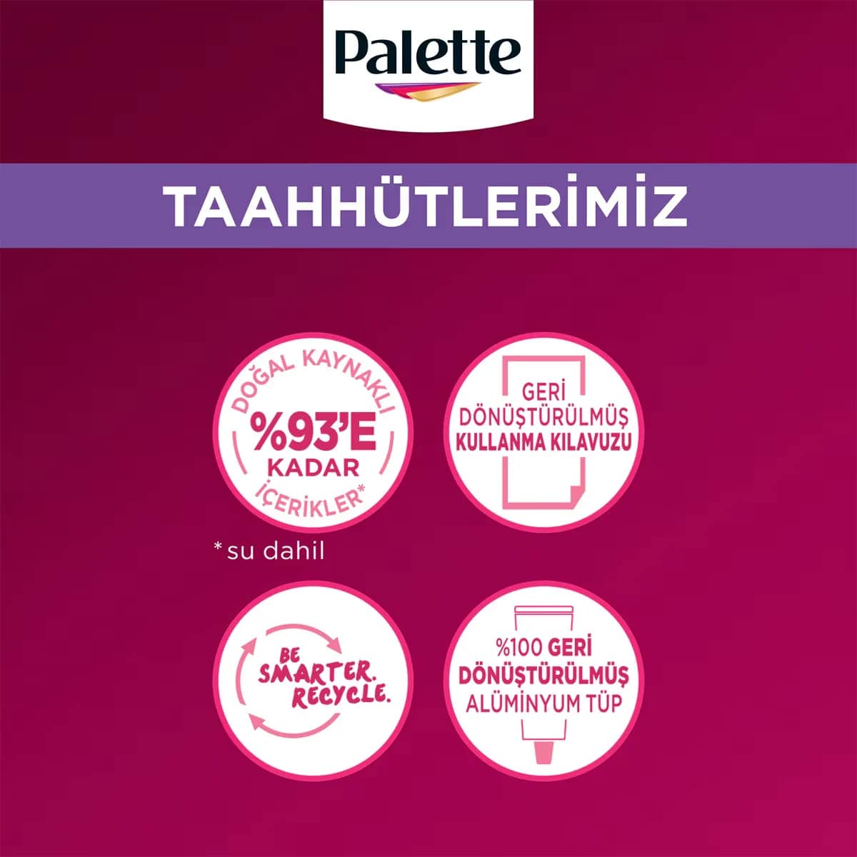 صبغة شعر باليت ديلوكس رمادي ماسي رقم U71 50 مل Palette