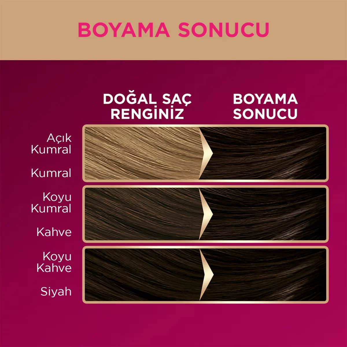 Palette صبغة شعر باليت ديلوكس بني رقم 3-0 50 مل