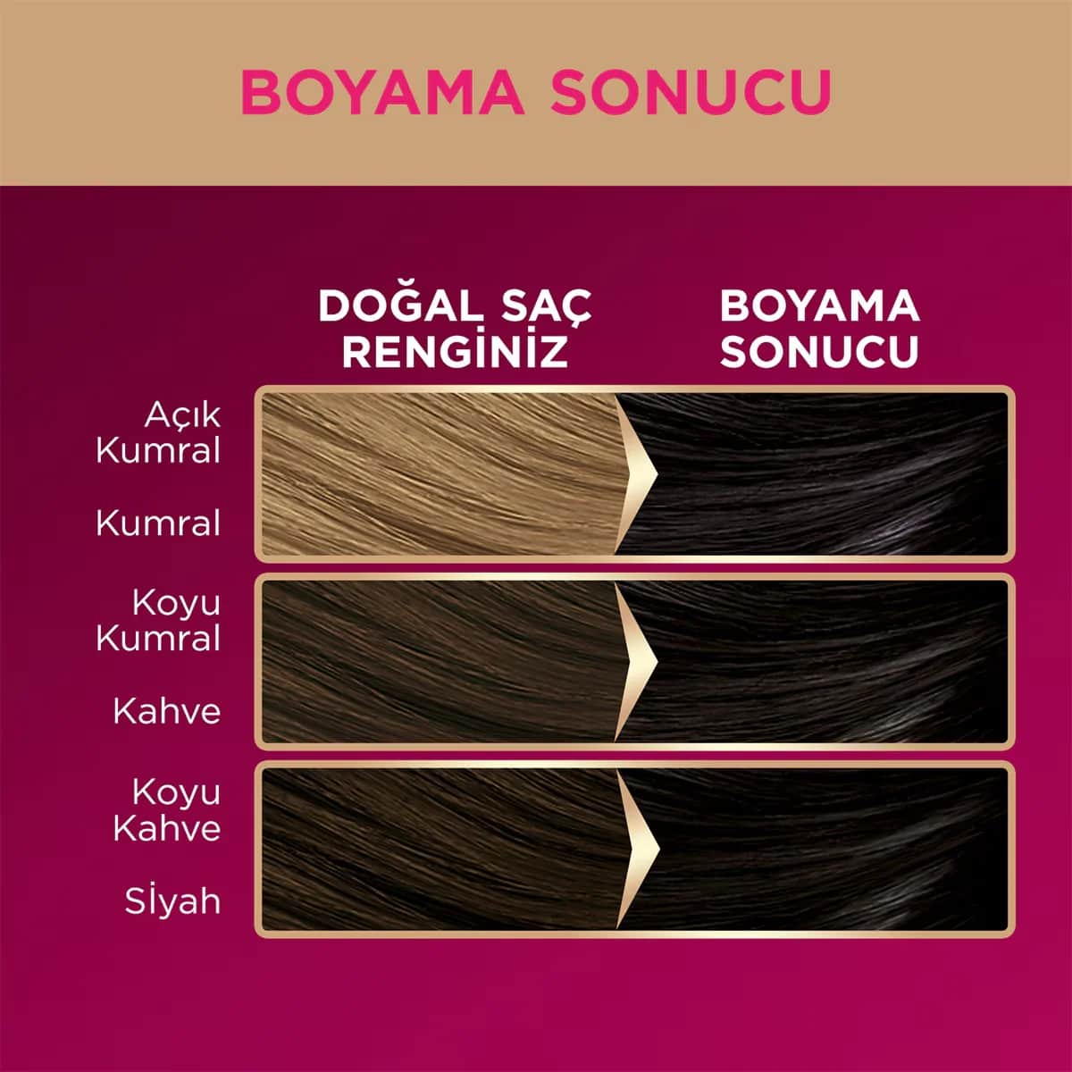 Palette صبغة شعر باليت ديلوكس أسود رقم 1-0 50 مل