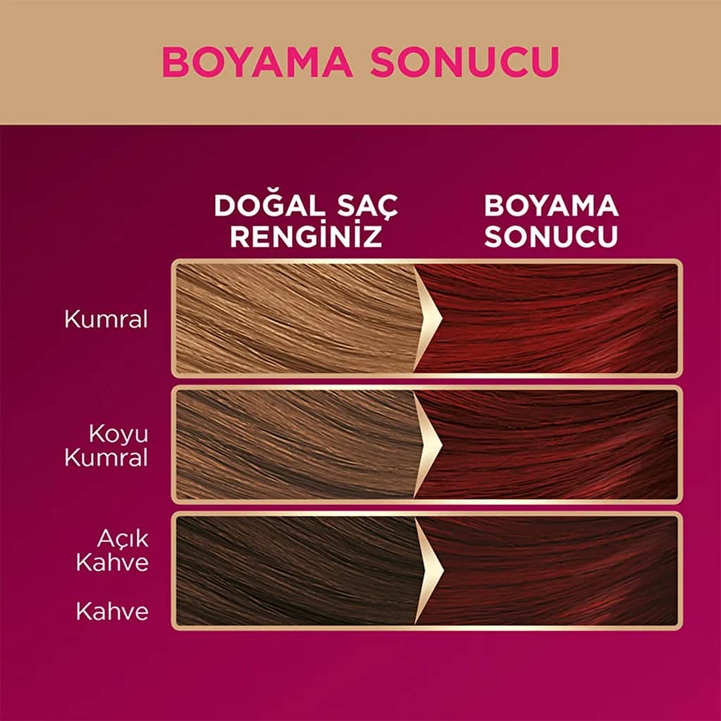 Palette صبغة شعر باليت ديلوكس 5-889 أحمر نبيذي