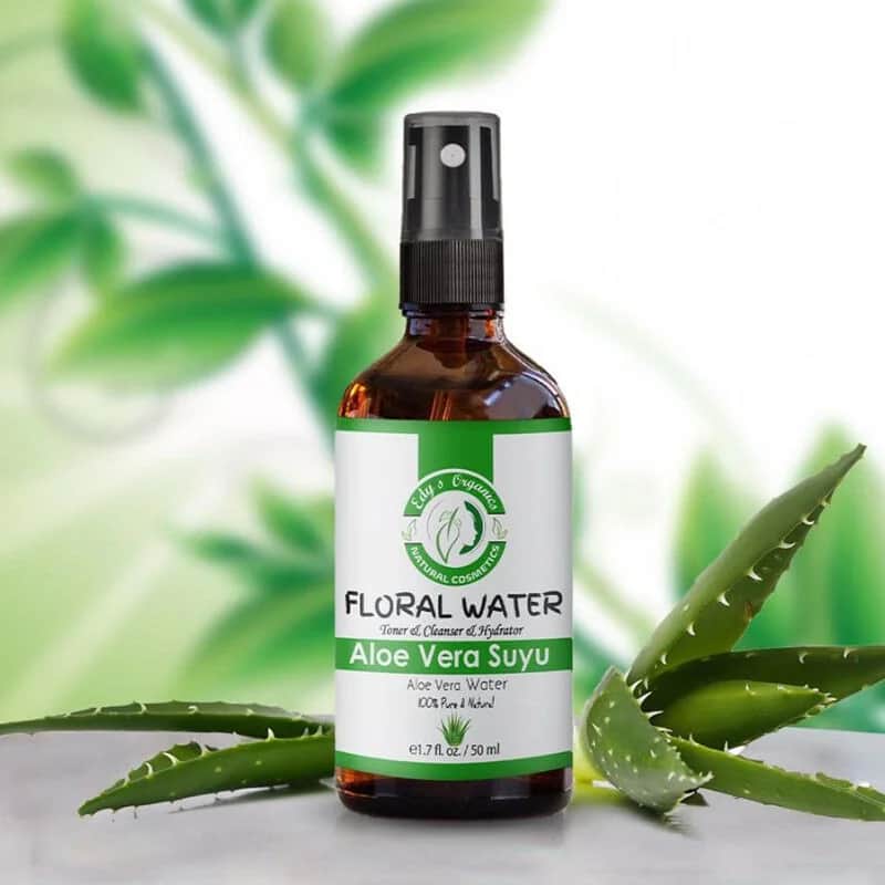 Edys Organics عصير الصبار العضوي من إيديز 50 مل