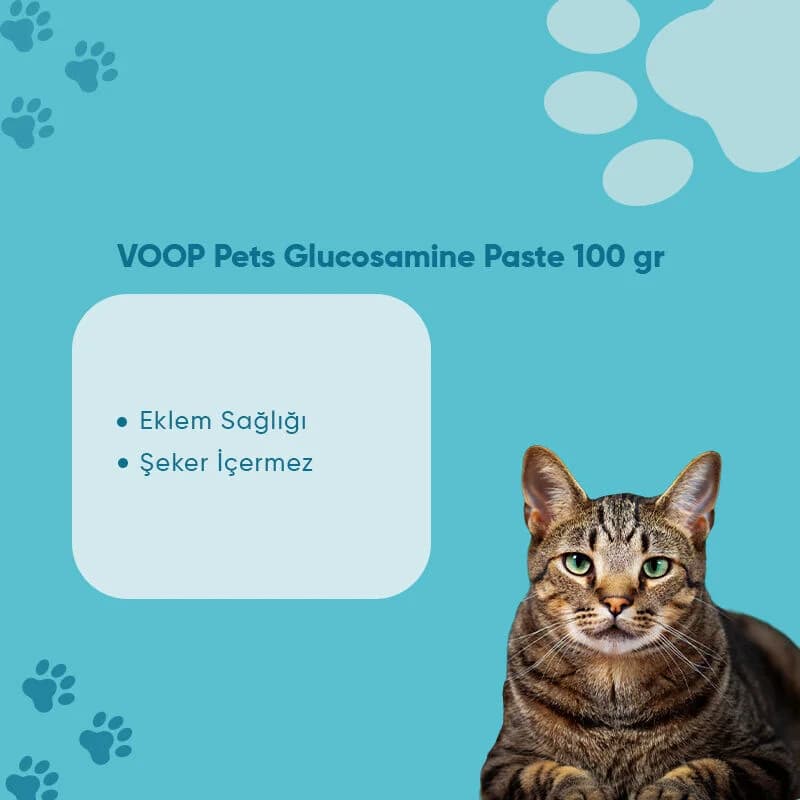Voop معجون الشعير فووب بيت لدعم المفاصل والعضلات للقطط 100 غرام