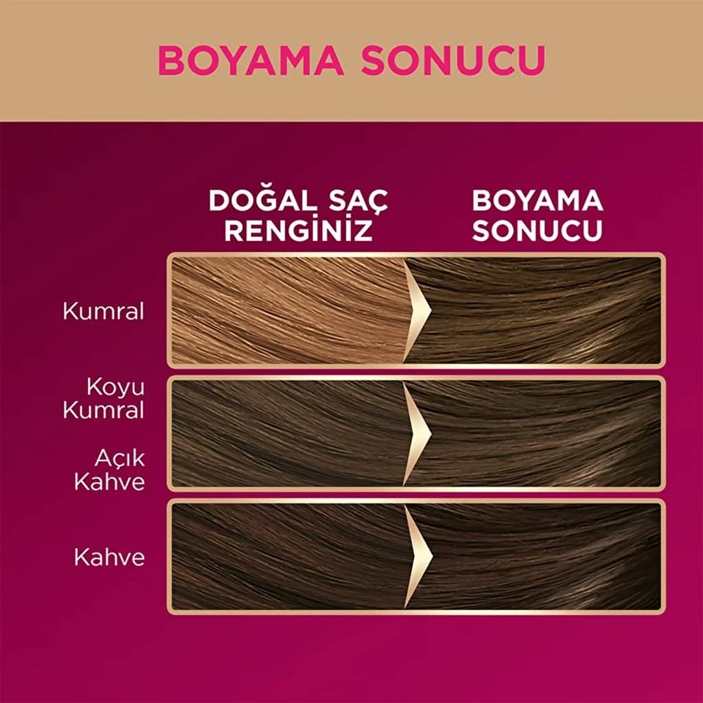 Palette صبغة شعر باليت ديلوكس 6-0 أشقر غامق