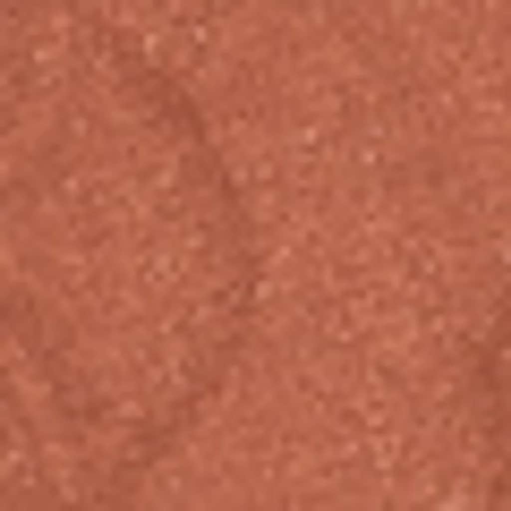 بلush 204 من باستيل Pastel