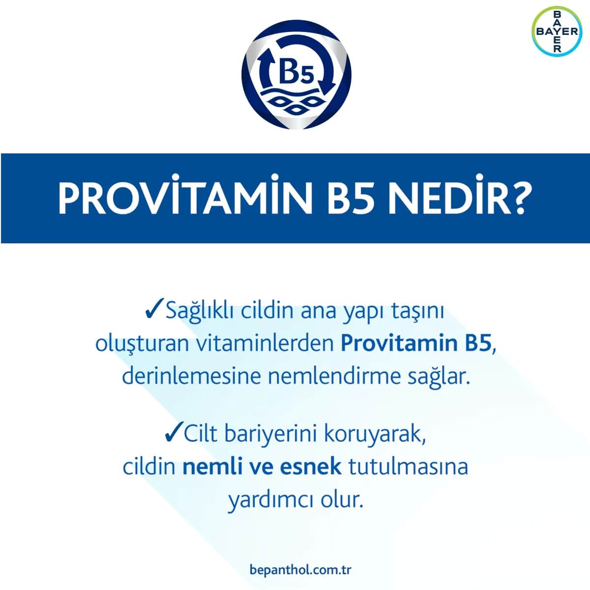 Bepanthol مجموعة بيبانثول ديرما ريبير: مرهم وكريم للبشرة ٥٠ جم + ٣٠ جم
