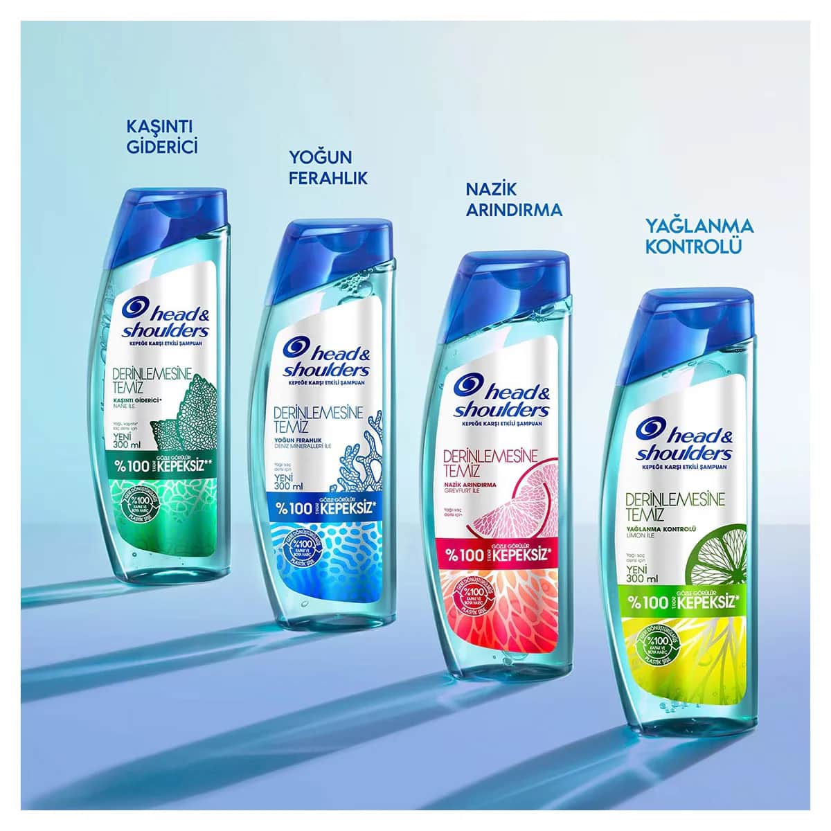 Head & Shoulders شامبو هيد آند شولدرز للتحكم بالزيت والتنظيف العميق المضاد للقشرة 300 مل